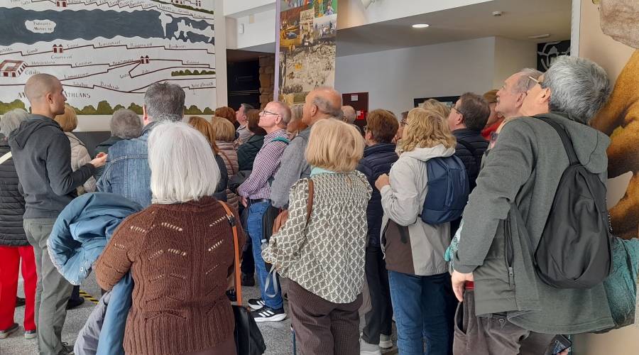 Visite guidée du Musée Oiasso